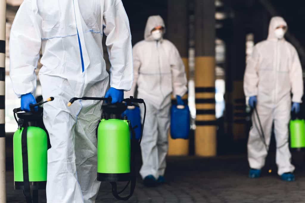 Mold Removal in Camarillo, CA by Vortex Restoration