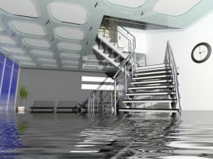 Water Damage Restoration in Santa Rosa Valley, CA​