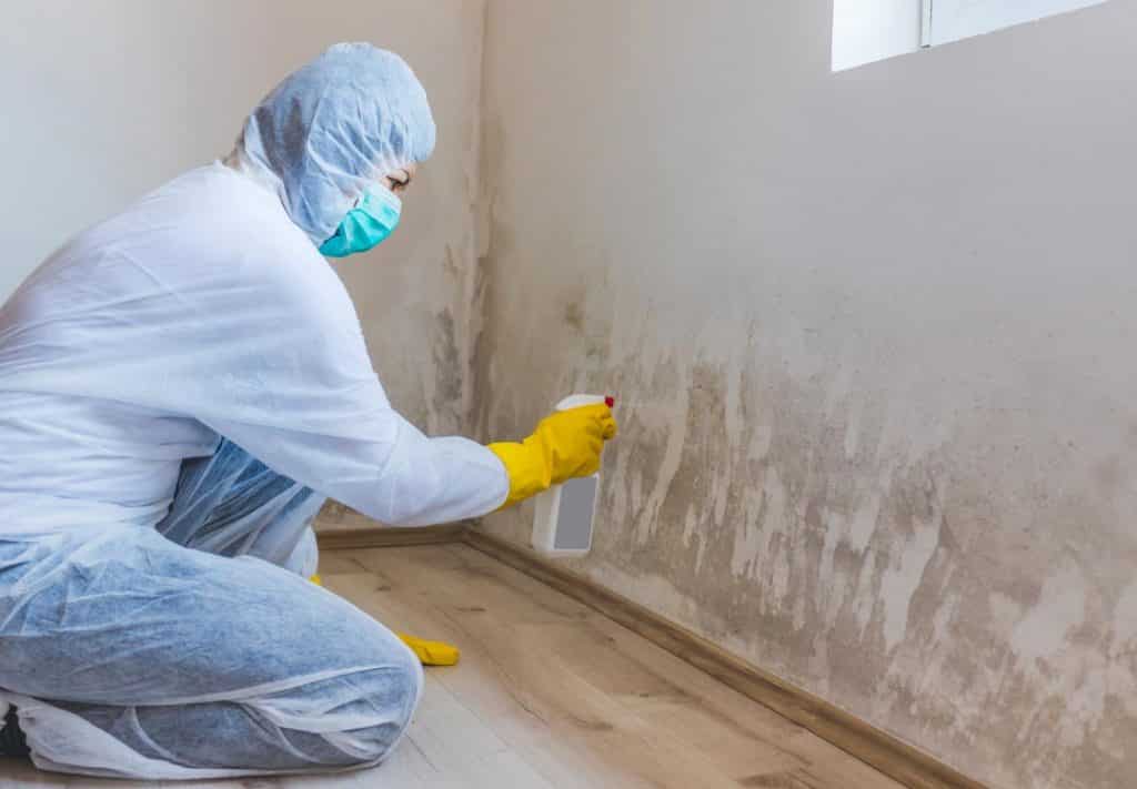 Mold Removal and Remediation services in Port Hueneme, California