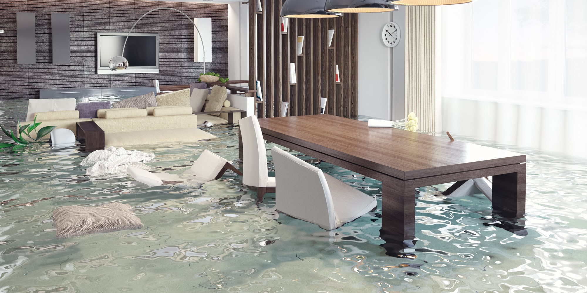 Water Damage Restoration and Mold Removal Experts in Castaic, California​