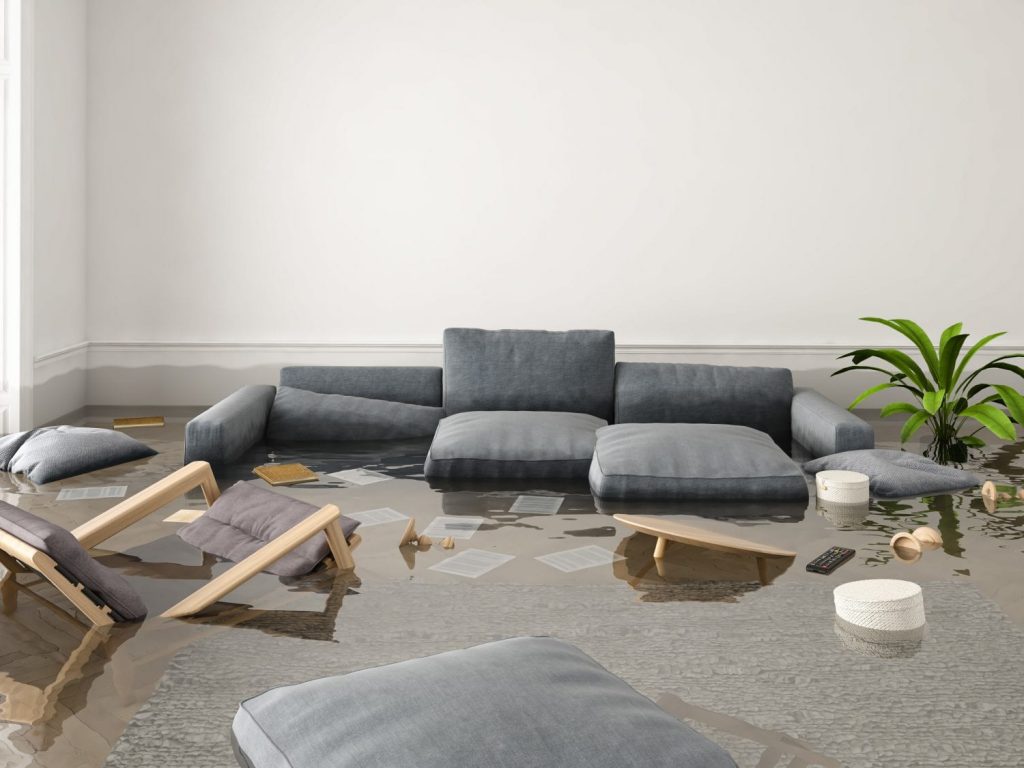 Water Damage Restoration and Mold Removal Experts in Santa Rosa Valley, California