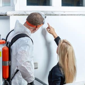 Mold Inspection