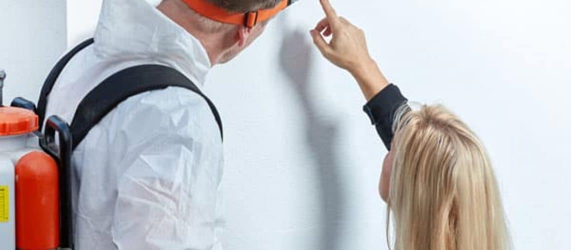 Mold Inspection