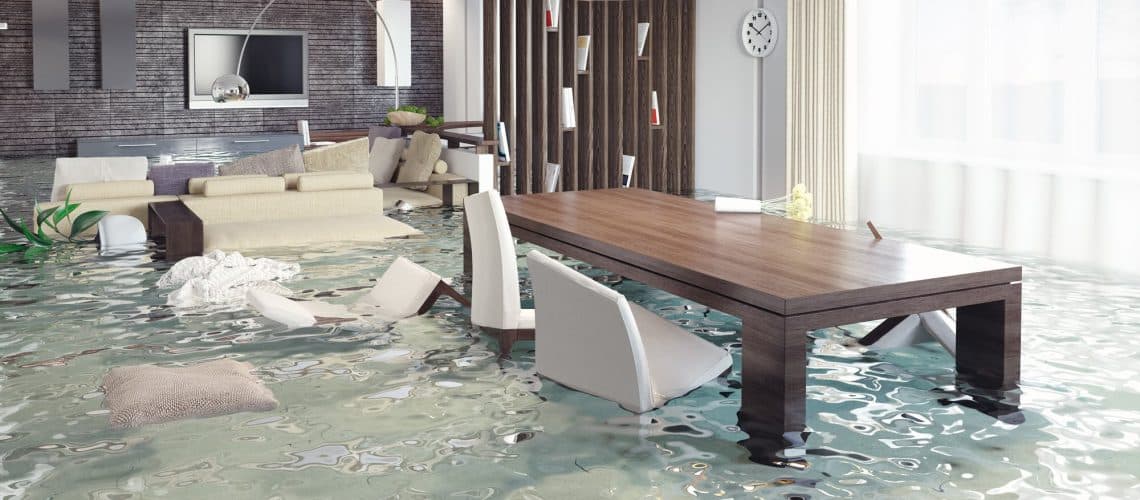 Professional Water Damage Restoration in Somis, CA
